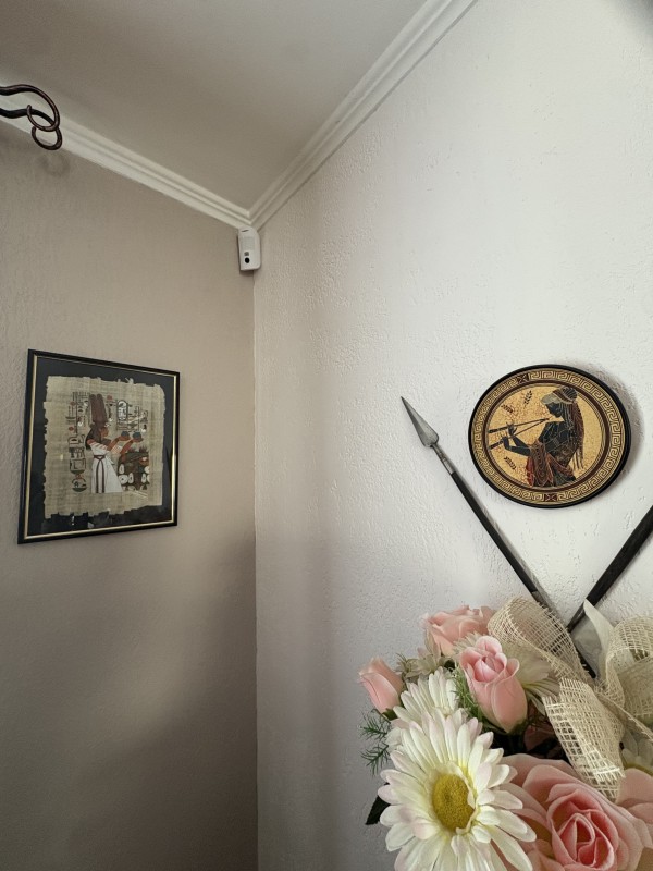 Installation alarme simple pour personnes âgées à Nîmes : alarme maison facile avec détecteurs photo, sirène intérieure et extérieure