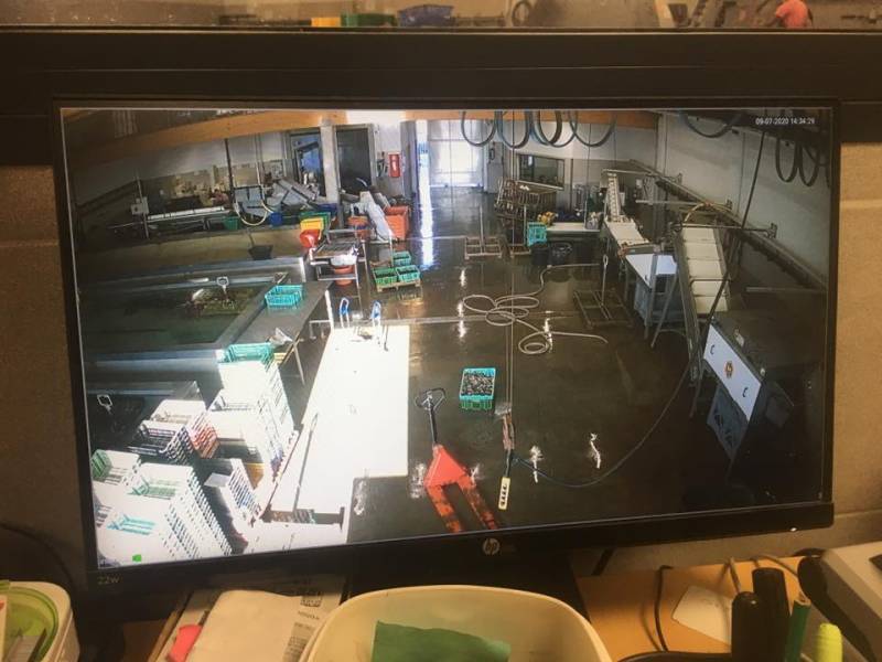 moniteur pour caméras à Port-Saint-Louis