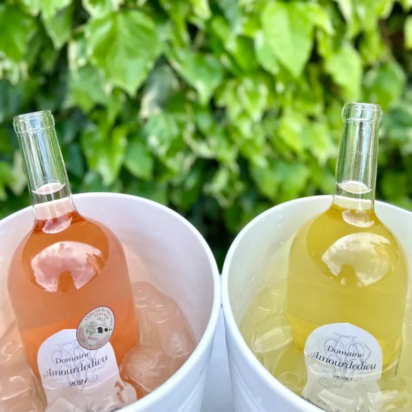 Producteur de Vin Vaucluse Domaine Amourdedieu