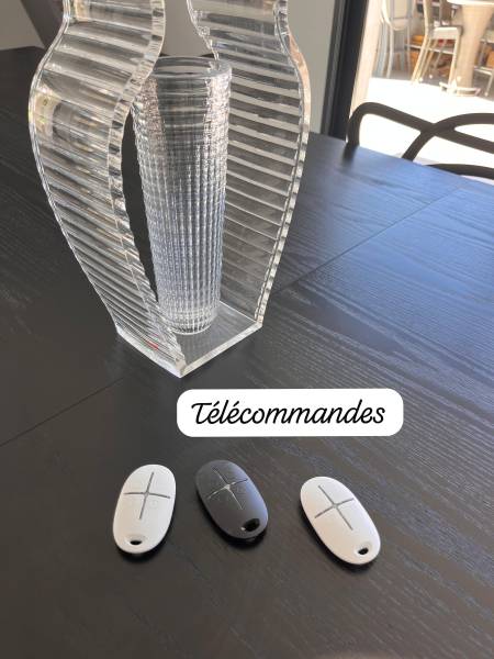 Installer une alarme avec des télécommandes noires et blanches