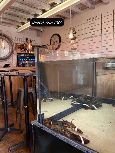 Trouver une entreprise locale pour l'installation de caméras filaires de vidéosurveillance, sans abonnement, dans un restaurant à Arles