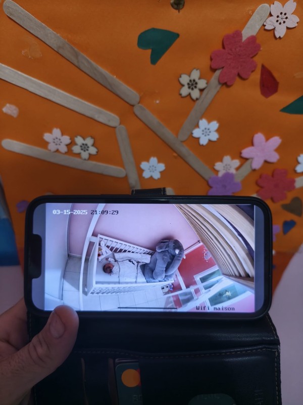 Ajout d’une caméra WiFi pour surveiller bébé : une extension intelligente à une installation de vidéosurveillance professionnelle